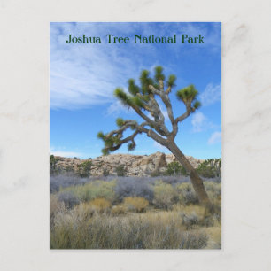 Belle Carte Postale Joshua Tree !