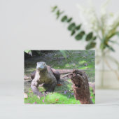 Belle carte postale Komodo Dragon (Debout devant)