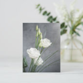Belle carte postale Lisianthus White Flowers (Debout devant)