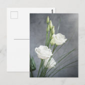 Belle carte postale Lisianthus White Flowers (Devant / Derrière)
