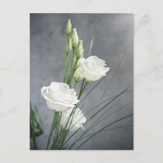 Belle carte postale Lisianthus White Flowers (Devant)