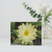 Belle Carte postale Marigold Jaune (Debout devant)