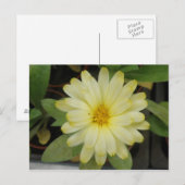 Belle Carte postale Marigold Jaune (Devant / Derrière)