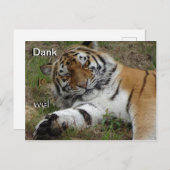 Belle carte postale Merci tigre (Devant / Derrière)