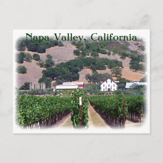 Belle carte postale Napa Valley ! (Devant)