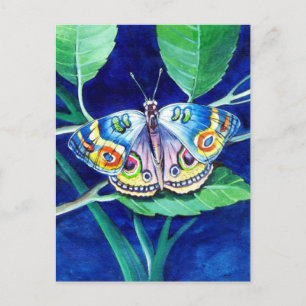 Belle carte postale papillon