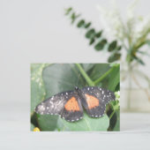 Belle carte postale papillon (Debout devant)