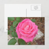 Belle carte postale rose (Devant / Derrière)