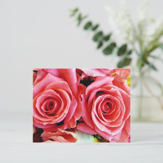 Belle carte postale Rose (Debout devant)