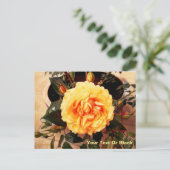 Belle Carte postale Rose Jaune (Debout devant)