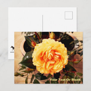 Belle Carte postale Rose Jaune