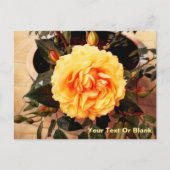 Belle Carte postale Rose Jaune (Devant)