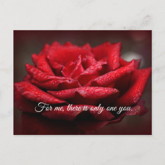 Belle carte postale Rose Rouge |Message personnali