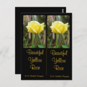 Belle carte postale Signet Rose Jaune (Devant / Derrière)