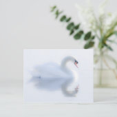 Belle carte postale Swan (Debout devant)
