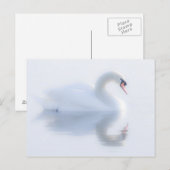 Belle carte postale Swan (Devant / Derrière)