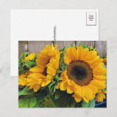 Belle carte postale tournesol (Devant / Derrière)