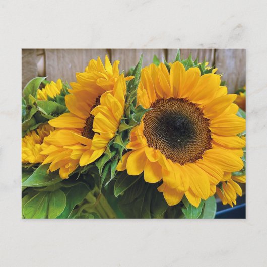 Belle carte postale tournesol (Devant)