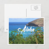 Belle carte postale verte et bleue de Maui Hawaii (Devant / Derrière)