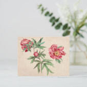 Belle carte postale Vintage d'illustration (Debout devant)