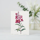 Belle carte postale Vintage d'illustration (Debout devant)