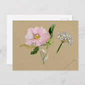 Belle carte postale Vintage d'illustration (Devant / Derrière)