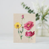 Belle carte postale Vintage d'illustration (Debout devant)