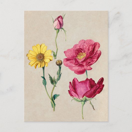 Belle carte postale Vintage d'illustration (Devant)