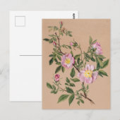 Belle carte postale Vintage d'illustration (Devant / Derrière)