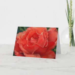 Belle carte Rose Art Coral Rouge