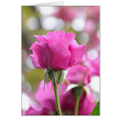 Belle carte Rose rose-choc (Devant)