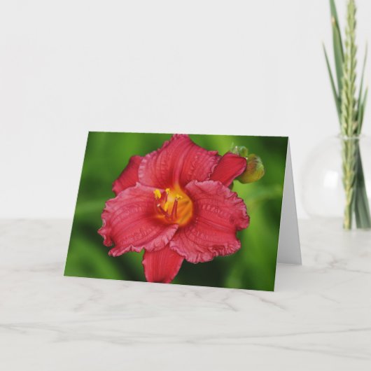Belle carte rouge Tropical Flower Note (Devant)