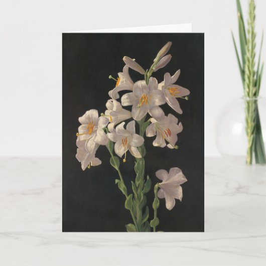 Belle carte Vintage Lys Pâques Blanches (Devant)