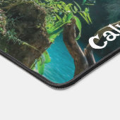 Belle Cascade naturelle de petite forêt (devant) (Coin)