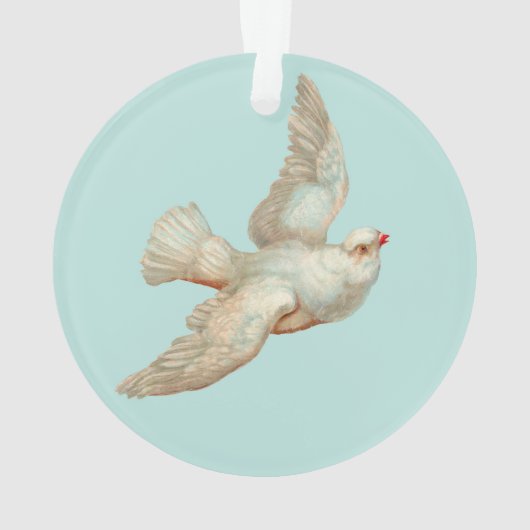 belle colombe blanche (dos)