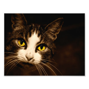 Belle copie de photo de plots réflectorisés