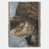 belle couverture de chat (devant Vertical)