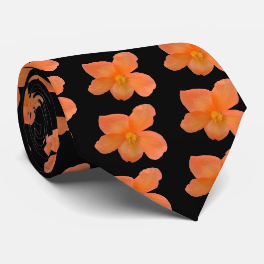 Belle Cravate de Begonia (Roulé)