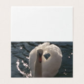 Belle cygne blanc (Outside Unfolded)