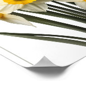 Belle Daffodil Fleurs Poster Décor Mur (Coin)
