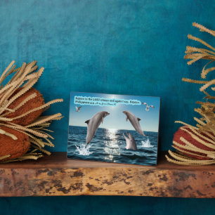 Belle Écriture Dauphin Plaque Philippians 4:4