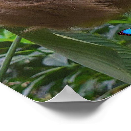 Belle Écriture de Sloth Poster Ephésiens 4:32 (Coin)