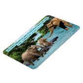 Belle Écriture éléphante Magnet Luke 6:31 (Côté Gauche)