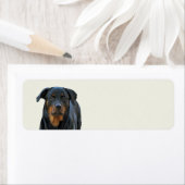 Belle étiquette d'adresse de retour Rottweiler (En situation)