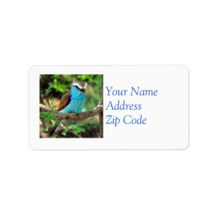 Belle étiquette postale d'oiseau bleu