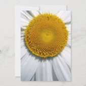 Belle Faire-part de mariage Elegant Daisy (Dos)