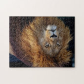 Belle faune Puzzle (Horizontal)