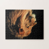 Belle faune Puzzle (Horizontal)