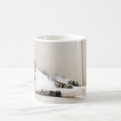 Belle Feline Ami Amoureux de les chats Photo Mug (Centre)