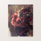 Belle femme sans puzzle de pitié (Vertical)